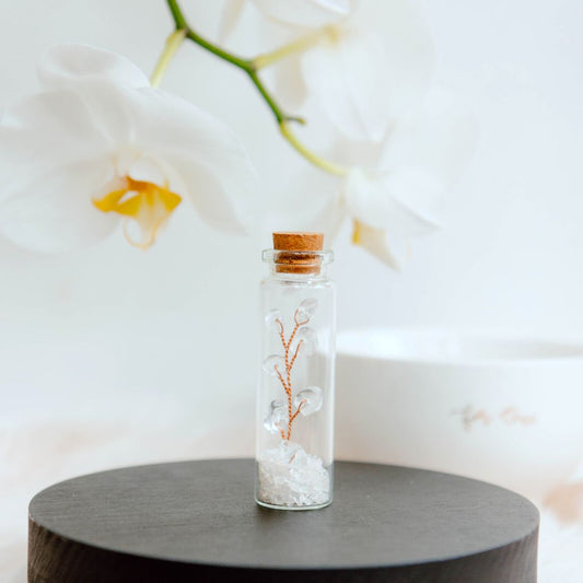 Wish bottle spiritual growth card clear quarts