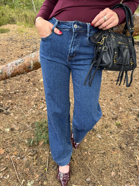 Donker Blauwe Jeans Subtiele Glitter