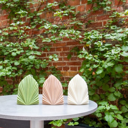 Palm spear shell candle green: sea salt & sage