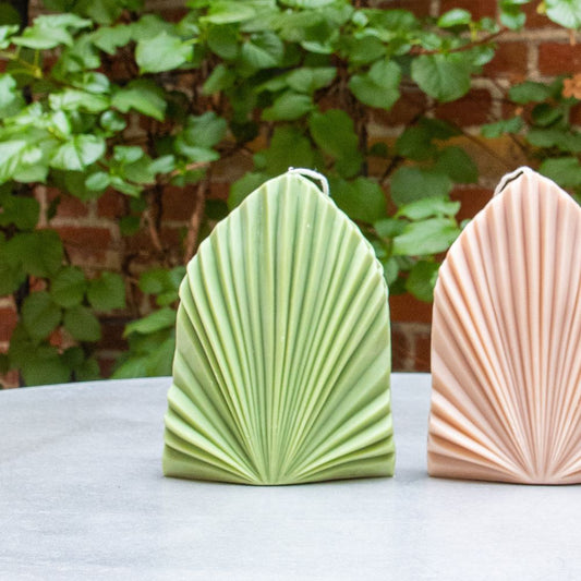 Palm spear shell candle green: sea salt & sage