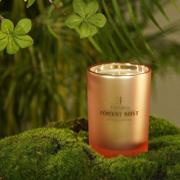 Forest Mist Scented Candle – Distingue Devore