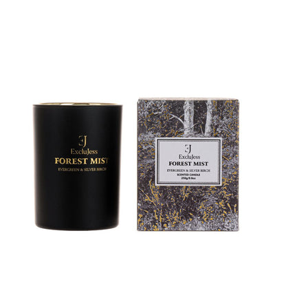 Forest Mist Scented Candle – Evergreen & Silver Birch